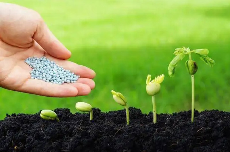 有機肥行業發展