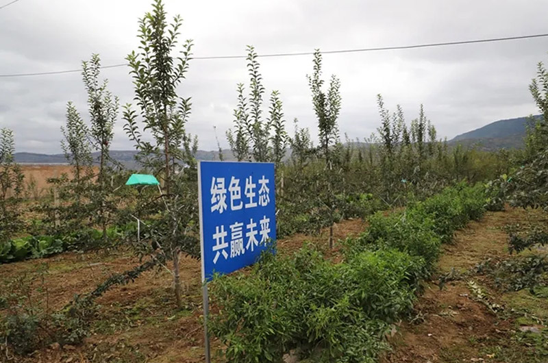 農(nóng)田投入有機(jī)肥最低用量