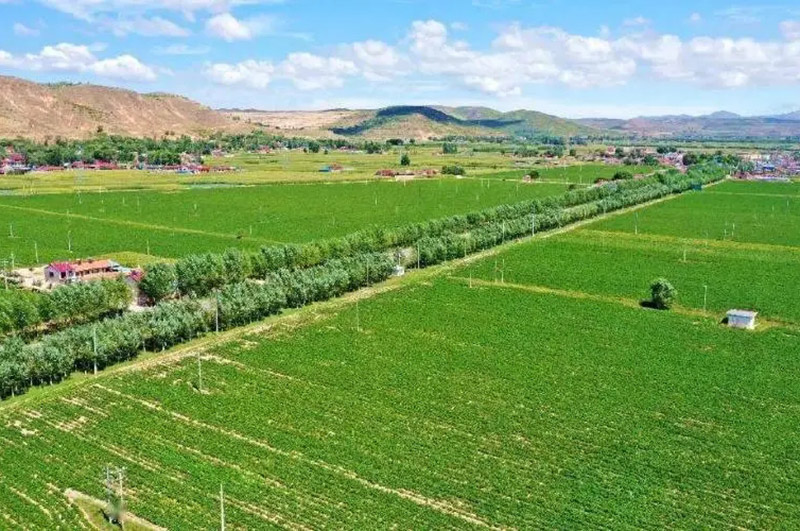 生態(tài)種植促農(nóng)業(yè)綠色發(fā)展