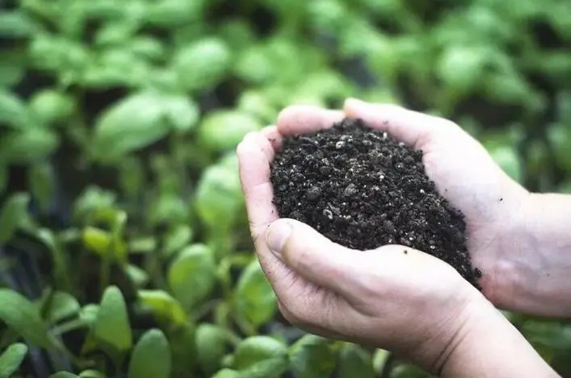 有機(jī)肥替代化肥