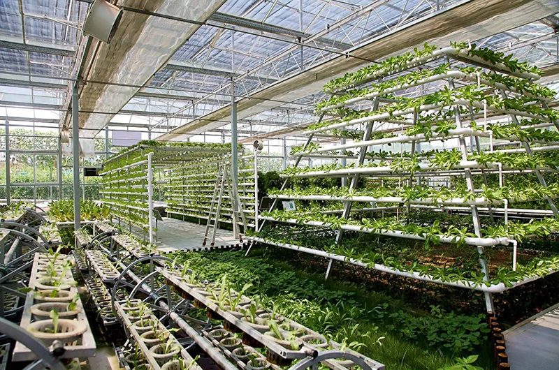 有機農(nóng)業(yè)低投入、高質(zhì)量、高效益