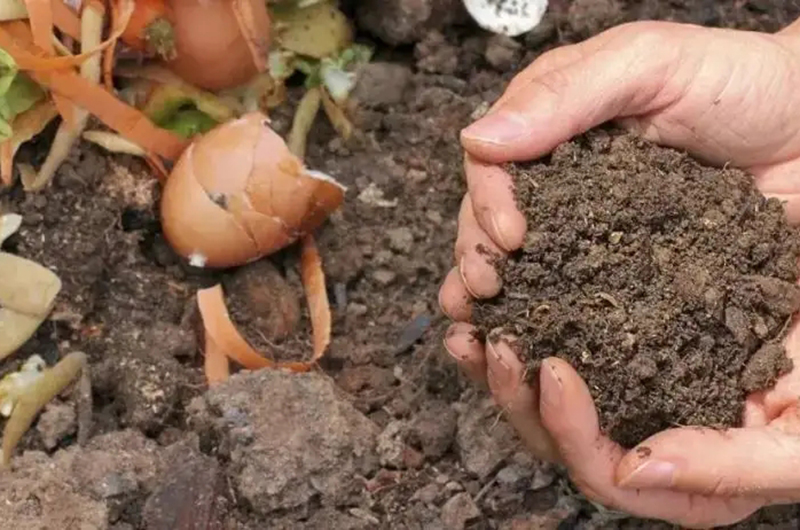 農(nóng)業(yè)廢棄物資源化利用:廢料變肥料,環(huán)保又高效