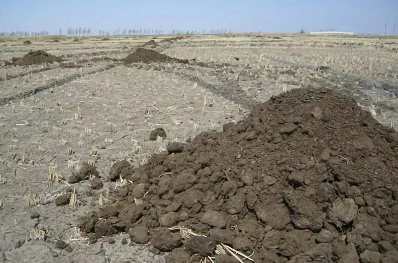 未腐熟的畜禽糞便有什么危害