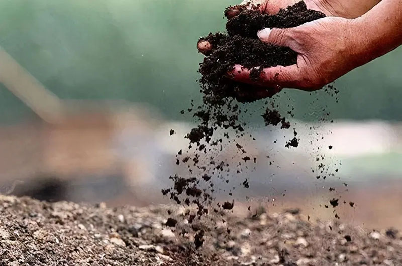 有機質(zhì)含量高的肥料好嗎