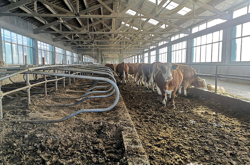 養(yǎng)殖場糞污